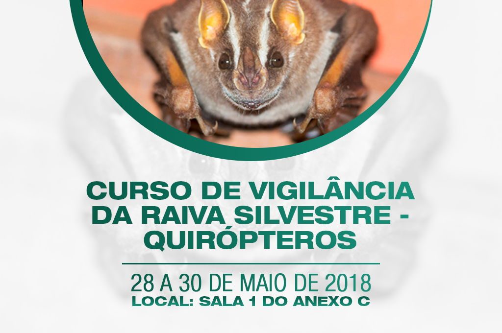 Medicina Veterinária UNINTA oferta curso de Vigilância da Raiva Silvestre