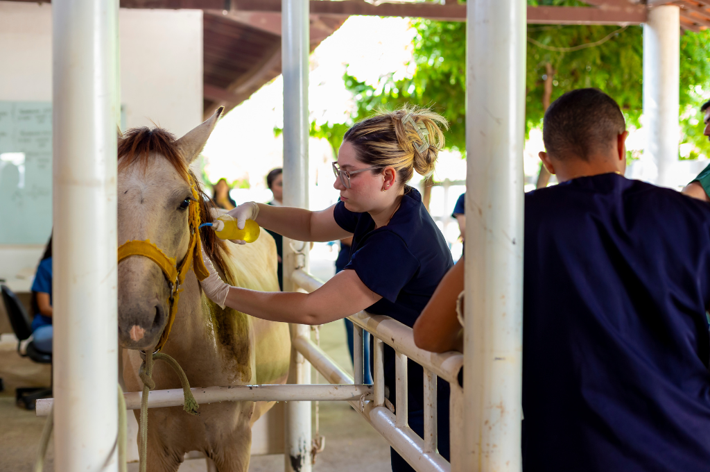 UNINTA celebra a Semana do Médico Veterinário 2024 com palestras e minicursos inovadores